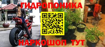 кокс Ставрополь