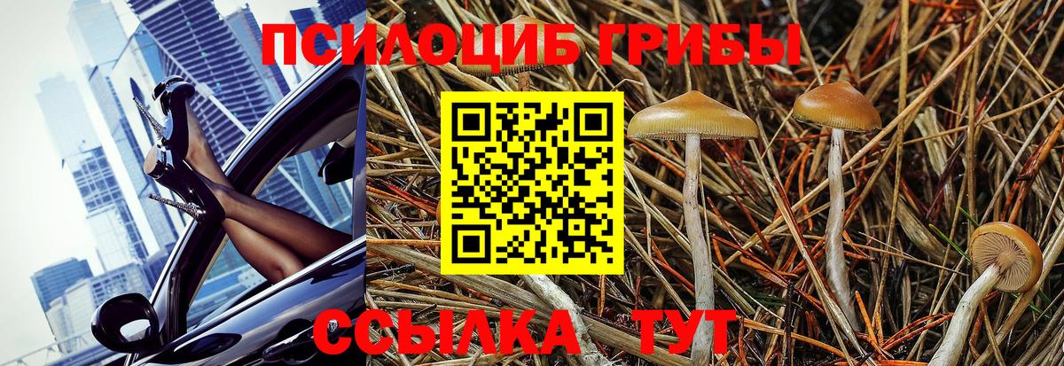 Псилоцибиновые грибы Psilocybine cubensis Нефтекамск