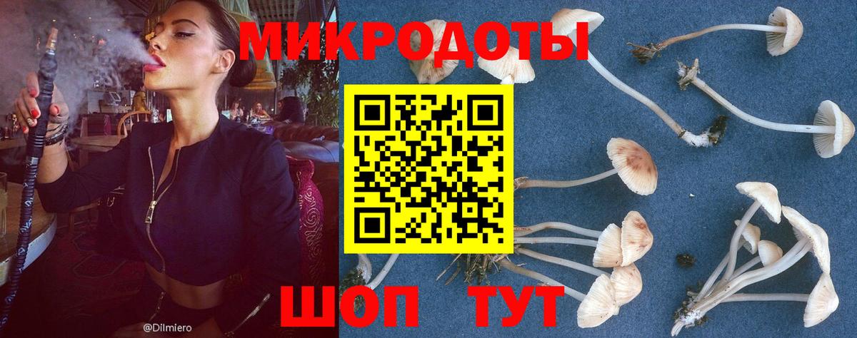 Галлюциногенные грибы прущие грибы  Вход с VPN  цены наркотик  Нефтекамск 